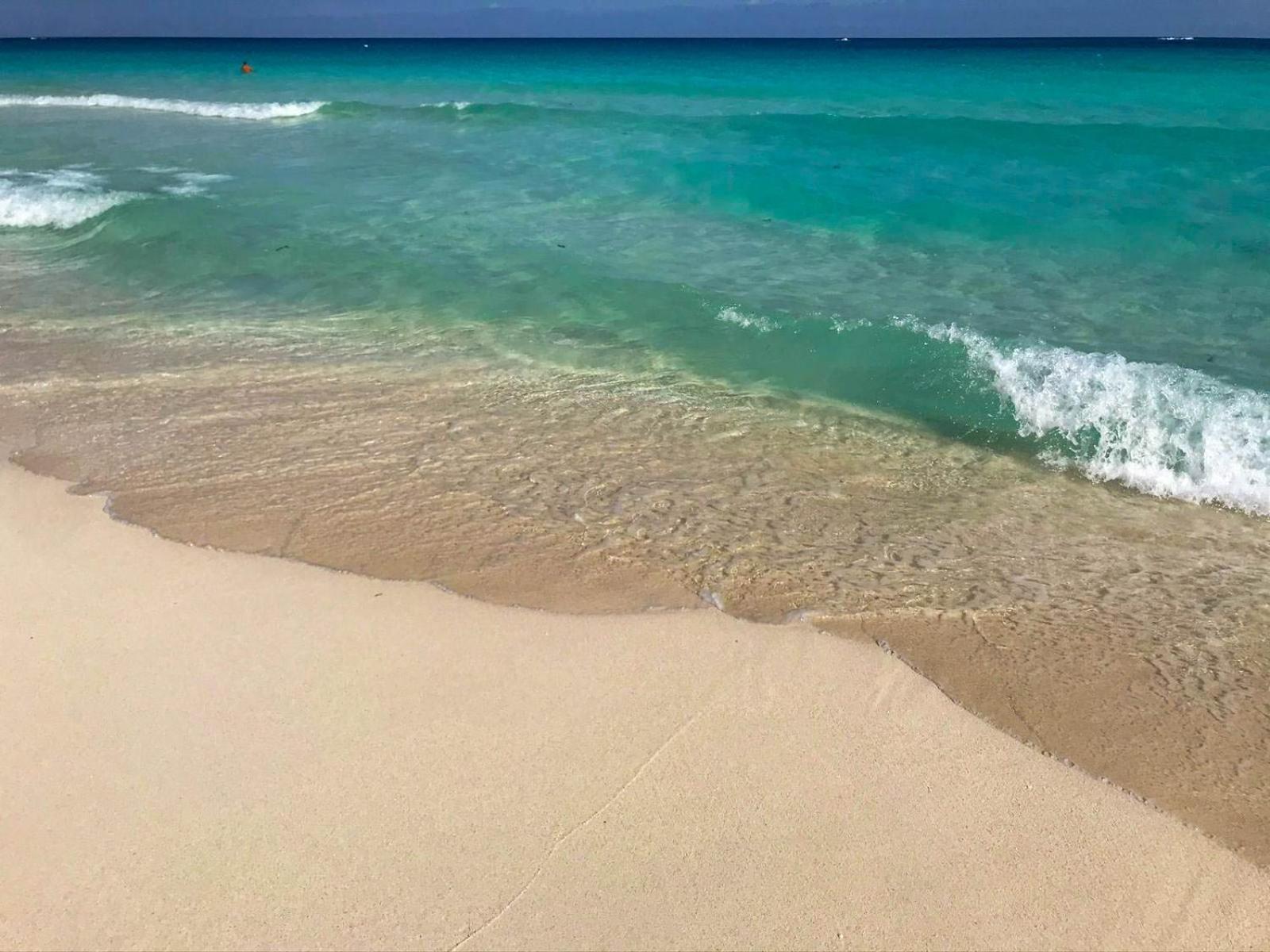 Seashore Apartment كانكون المظهر الخارجي الصورة