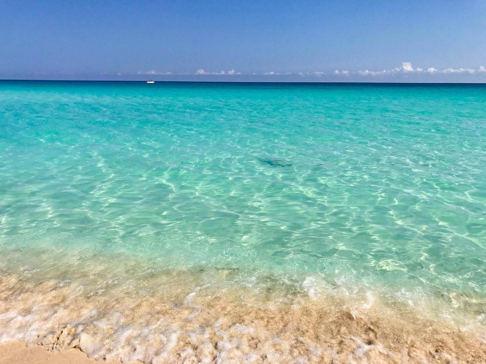 Seashore Apartment كانكون المظهر الخارجي الصورة